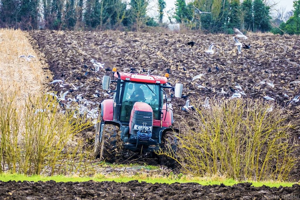 Pług obrotowy 3-skibowy, Starogard Gd.